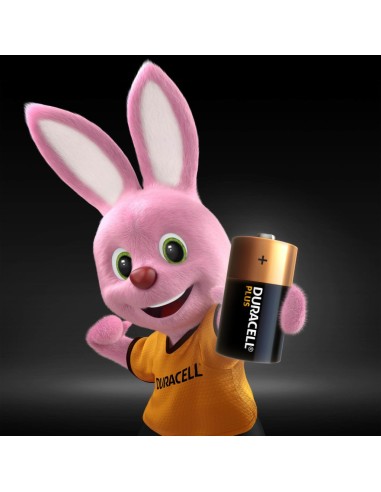Duracell R14 1 2 Torcia MN1400BPLUSPOWER